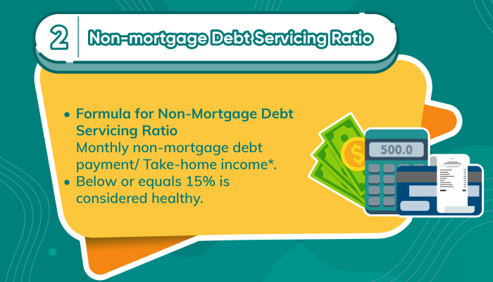 4. Debt Ratios-06
