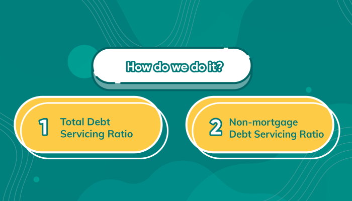 4. Debt Ratios-07